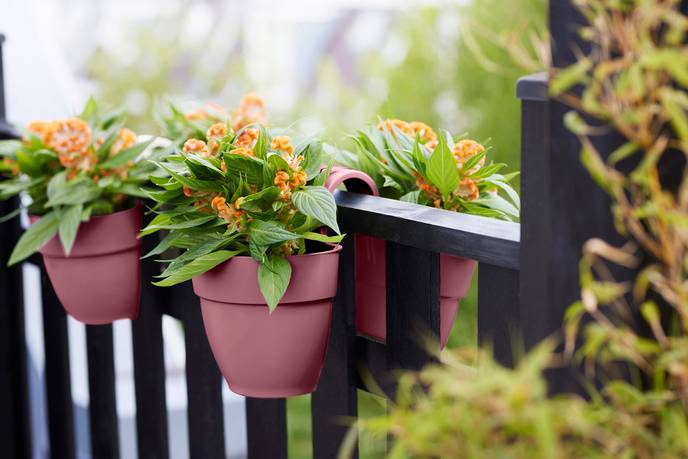 vibia campana flower twin 21cm Rose poussière